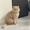 Fun Vids profil fotoğrafı
