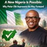 #PeterObi2027 profil fotoğrafı