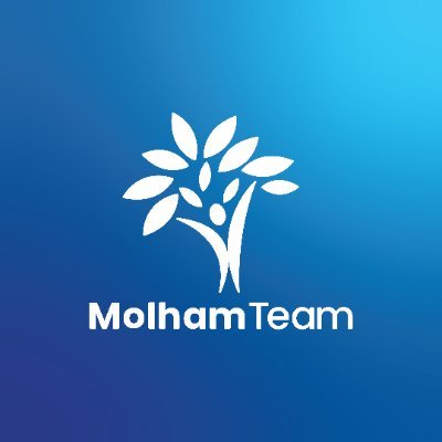 molhamteam's profile picture