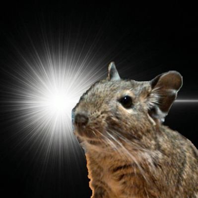 manju_maa's profile picture