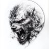 Call Sign Kilo's profile picture