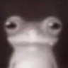 Celsin's profile picture