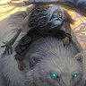 Varamyr Dickskins's profile picture