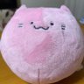 Hicomocha's profile picture