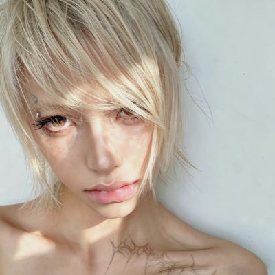 mingxing311's profile picture