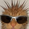 jonkler's profile picture