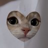 Profilbild von ;-;