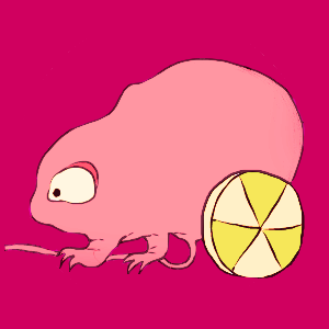 ka_kinota's profile picture