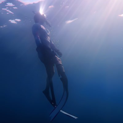 Vérdé's profile picture