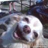 Profilbild von Imeanuh