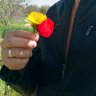 Simo Kech's profile picture