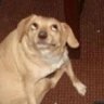 Profilbild von Lari B