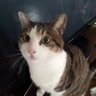 トオル's profile picture