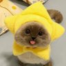 Bukankakakmu's profile picture