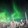 Фото профиля Owen yuan