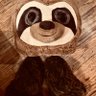 Michael Mustelier's profile picture