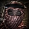 🇰🇼's profile picture