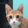 Profilbild von นยชม