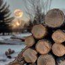 Фото профиля Vincent M