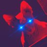 Sphynxter 的头像