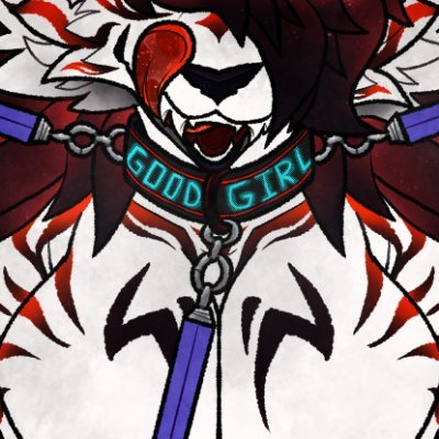 Maxi's profile picture