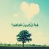 Profilbild von محمود عطا