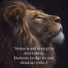 Erhan profil fotoğrafı