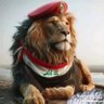 Profilbild von ياسر يوسف