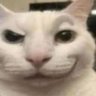Woods's profile picture