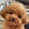 Scho's profile picture