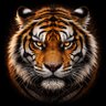 Фото профиля Fight tiger tonight
