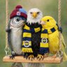 Profilbild von Gassaray