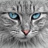 Max's profile picture