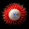 SkybatanX profil fotoğrafı