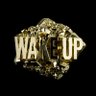 Fools Gold🪙's profile picture