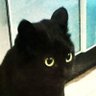 L源's profile picture