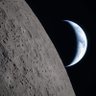 Mare Tranquillitatis🇺🇸's profile picture