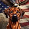 Ridgeback profil fotoğrafı