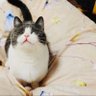 Harriet's profile picture