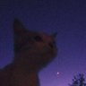 kye profil fotoğrafı