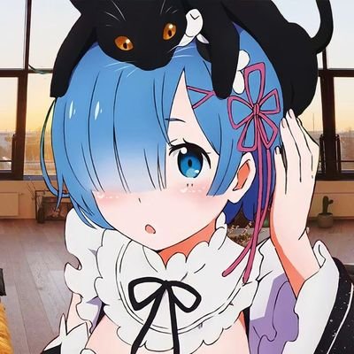 Remichi's profile picture