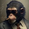 Profilbild von kord