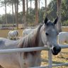 Profilbild von AHMEDATTA