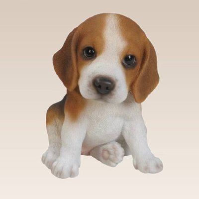 Jiangee's profile picture