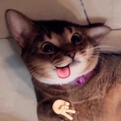 paล์m SO10³'s profile picture