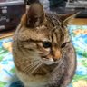 Фото профиля なんなん