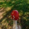 Не спящий в чебурнете®'s profile picture