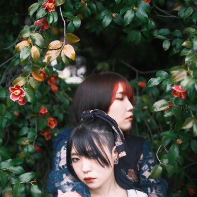 ktsb_12's profile picture
