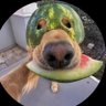 Profilbild von Arjun