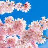 クリ0327 profil fotoğrafı